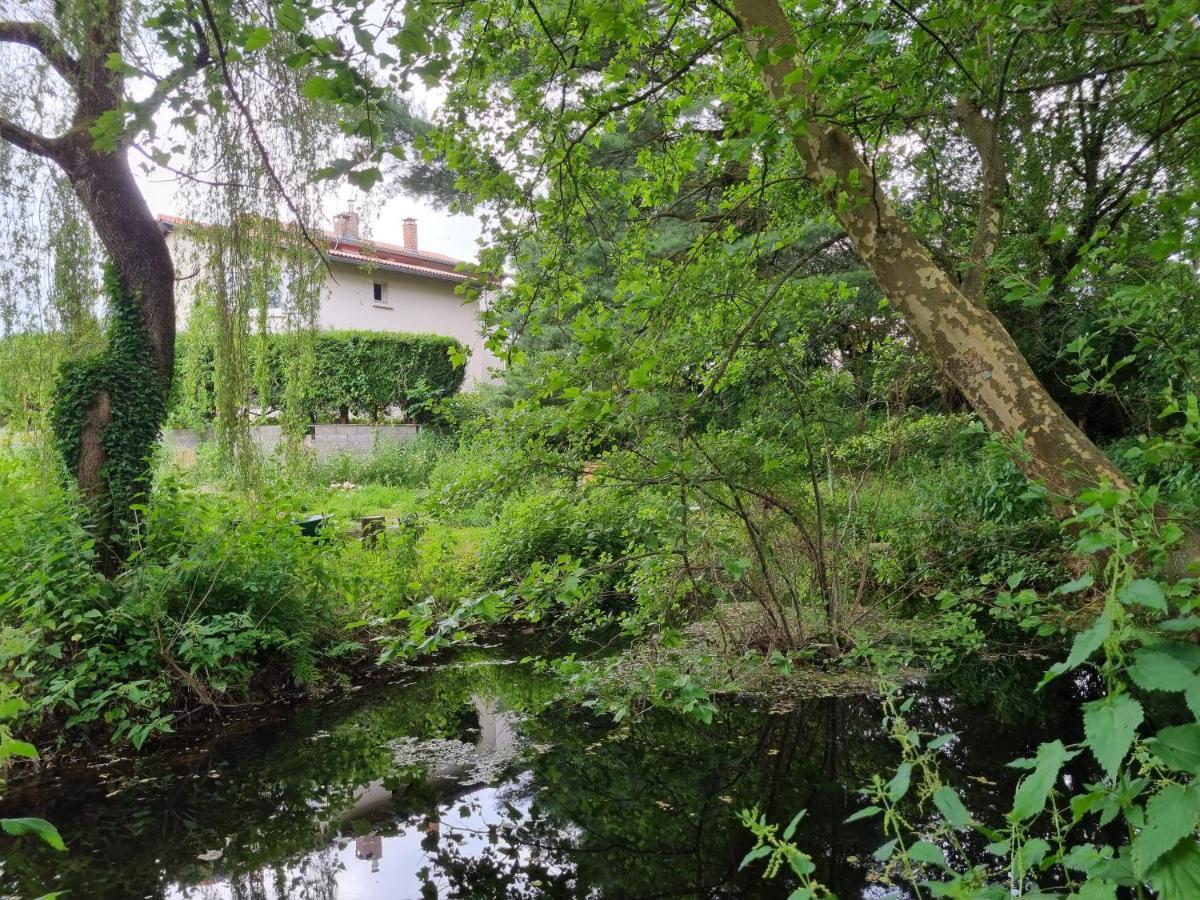 L'Eclat De Menthe Apartment Augerolles ภายนอก รูปภาพ